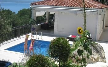 Villa mit Pool, Privatunterkunft im Ort Brela, Kroatien
